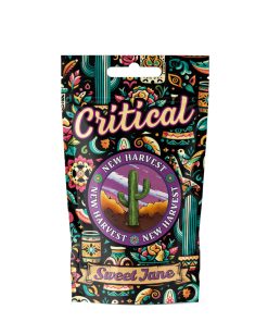 Cañamo CBD Critical