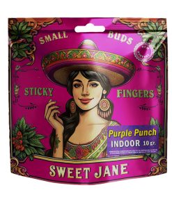 CBD Indoor Small Buds Purple Punch