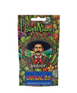Flores CBD Sweet Jane  Indoor Critical  2.0