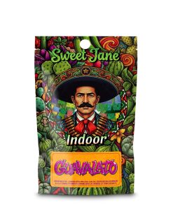 Flores CBD Sweet Jane  Indoor Guavalato
